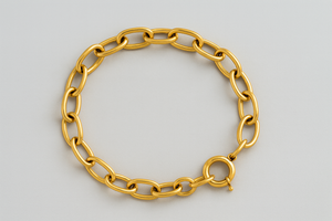 
                  
                    Charm Bracelet Chain (does not include the charms)
                  
                